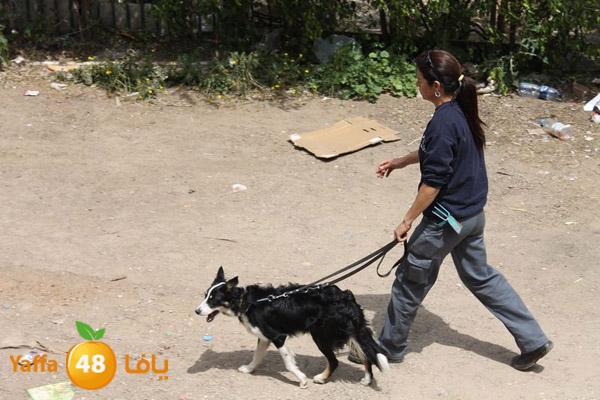 ludpolicedogs411 (12).jpg